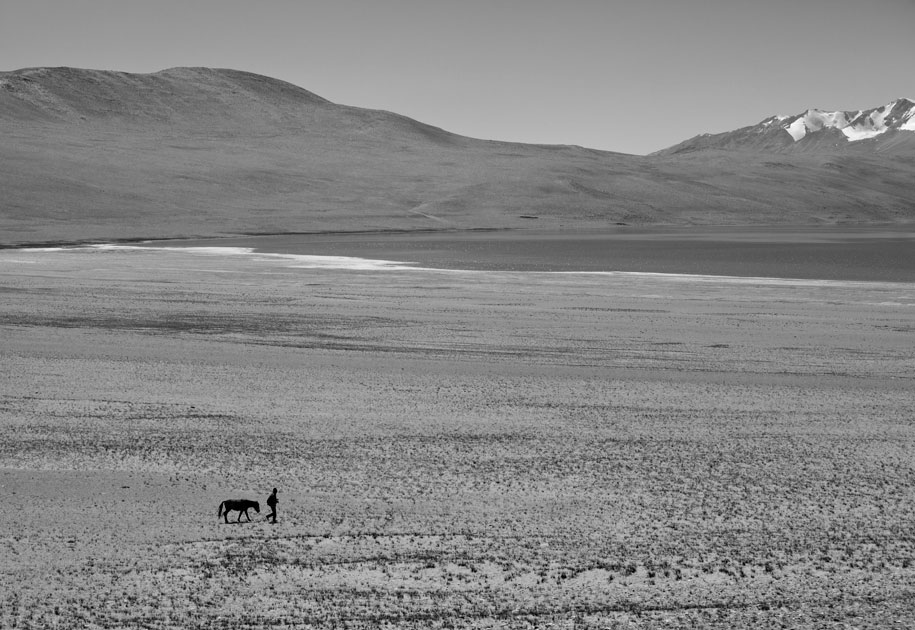 11_landscape.ladakh.manwithhorse.black and white.india.jpg
